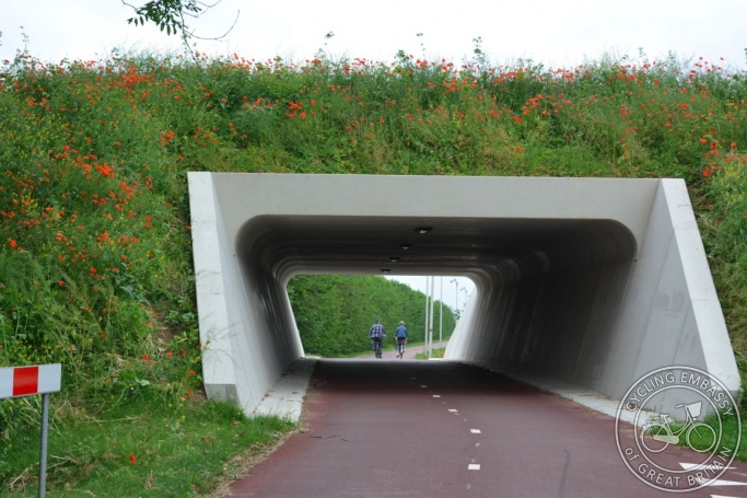 Underpass, Rijnwaalpad, Nijmegen, NL 